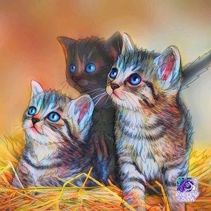 Meet your Posher, Janet